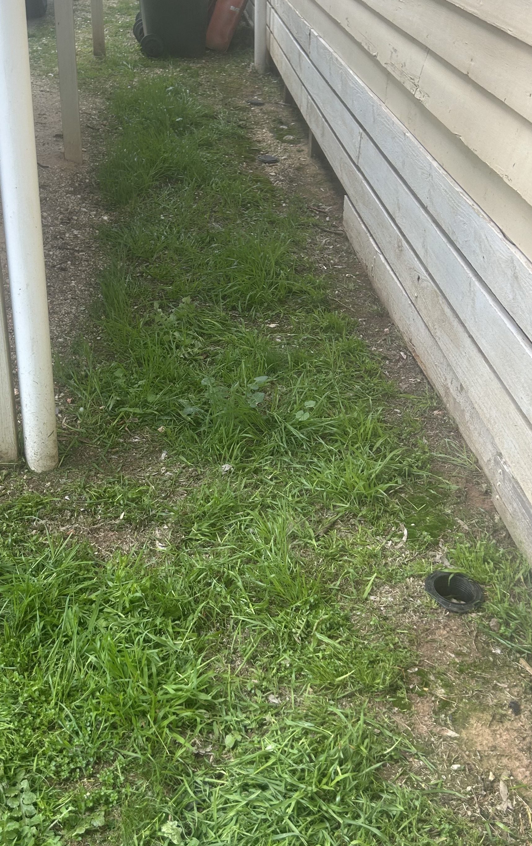 Herbicide 