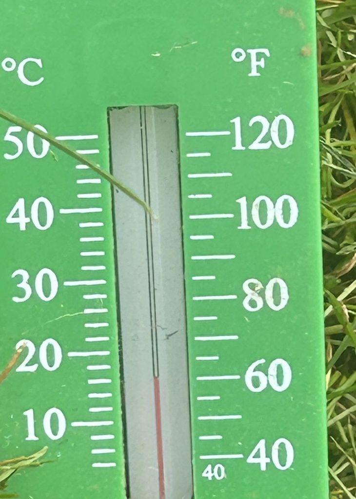 Soil Temp